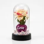 Cúpula Amor Eterno Rosa Pastel & Corazón LED - profesional con icopor