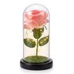 Cúpula de Rosa Eterna Rosada con Luz LED