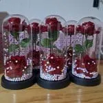 Colección de cúpulas decorativas con flores eternas y luces LED encendidas en exhibición de tienda Valeland