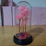 Cúpula con trío de rosas translúcidas rosadas y luces LED exhibida en tienda de regalos Valeland Barbosa