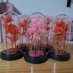 Colección de cúpulas decorativas con rosas cristalizadas en tonos rojo y rosado con luces LED en tienda Valeland Barbosa