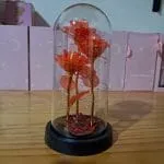 Cúpula con tres rosas rojas cristalizadas y micro luces LED exhibida en mostrador de tienda Valeland Barbosa