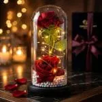 Cúpula con dúo de rosas rojas y luces LED cálidas encendidas en ambiente romántico prémium con fondo bokeh