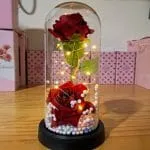 Foto real de cúpula con dos rosas rojas preservadas y luces LED en mostrador de tienda Valeland Barbosa