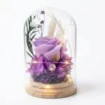 Cúpula de vidrio con rosa eterna violeta lila, hortensias preservadas y luz LED cálida sobre base de madera