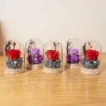 Colección de cúpulas de vidrio con rosas eternas rojas y lilas, base de hortensias y micro luces LED sobre mesa de madera